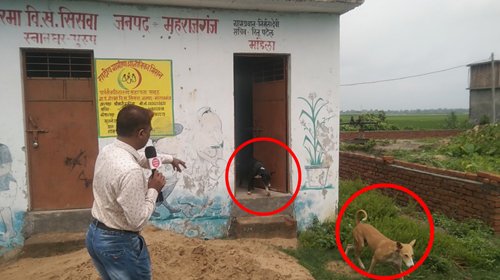 मामला सिसवा विकास खण्ड का : PM और CM की महात्वाकांक्षी योजना में मची लूट, सामुदायिक शौचालय बना आवरा कुत्तों का बसेरा