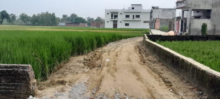 सिसवा नगर पालिका क्षेत्र: गजब की दबंगई, सरकारी नाला पर कब्जा और नम्बर की जमीन पर बना रहा रास्ता