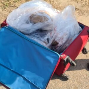 ट्राली बैग में मिली लड़की की लाश, सीने पर गोली का निशान