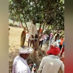 Maharajganj: सन्दिग्ध परिस्थितियों में पेड़ से लटकती मिली वृद्ध की लाश , पुलिस ने लिया कब्जे में