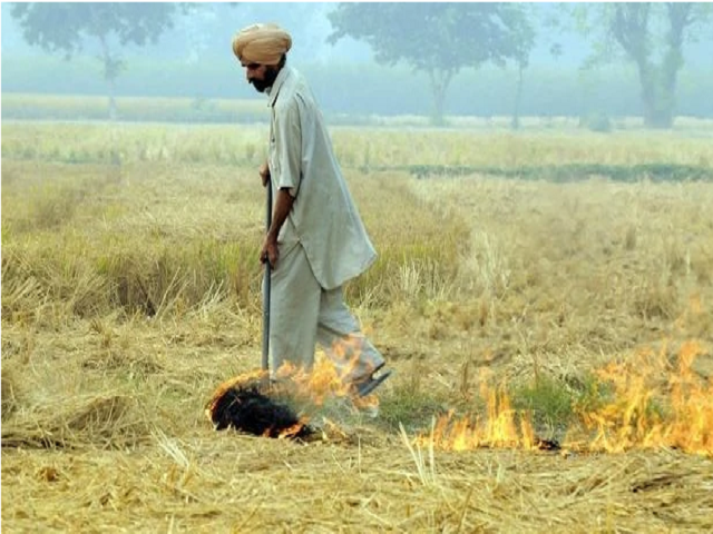 Punjab News- घटने लगे पराली जलाने के मामले, मगर कई शहरों की बिगड़ने लगी हवा
