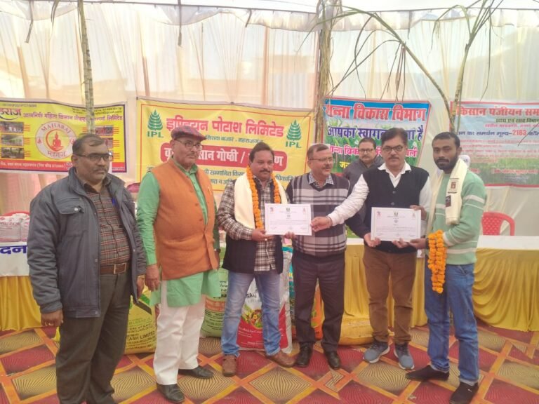 Sugarcane production गन्ना उत्पादन-प्रगतिशील किसान सुधीर सिंह को जिले में मिला प्रथम स्थान, किये गये सम्मानित