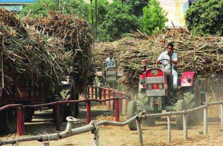 गन्ना किसानों के लिये खुशी की खबर, सिसवा IPL चीनी मिल ने 8 करोड़, 50 लाख रुपये भेजा गन्ना मूल्य का भुगतान