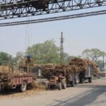 Siswa IPL Sugar Mill- गन्ना किसानों के खातों में भेजा 3 करोड़ 22 लाख रुपए, जाने कबतक का भेजा भुगतान