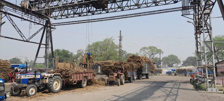 Siswa IPL Sugar Mill- गन्ना किसानों के खातों में भेजा 3 करोड़ 22 लाख रुपए, जाने कबतक का भेजा भुगतान