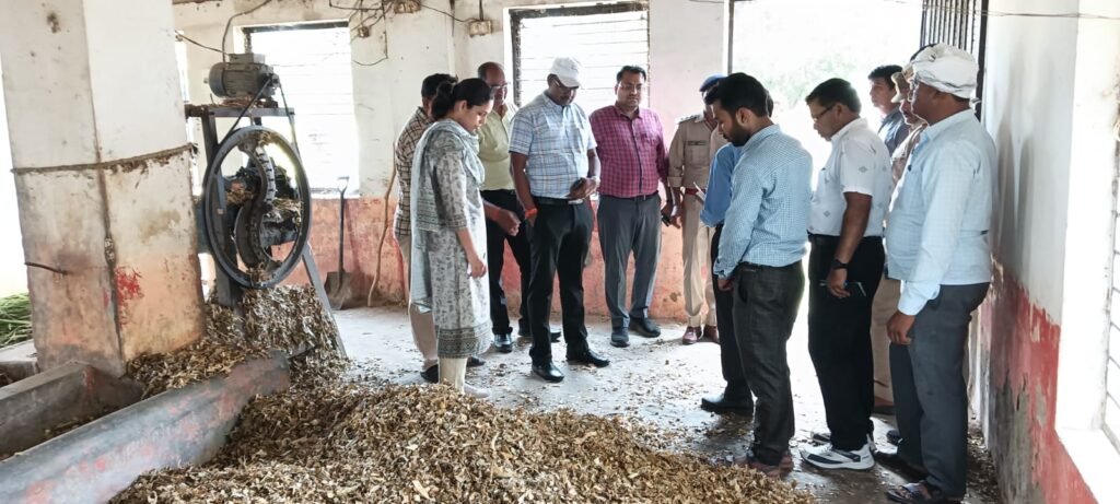 Maharajganj: जिलाधिकारी ने किया गोसदन मधवलिया का निरीक्षण, वृक्षारोपण कर दिया पर्यावरण संरक्षण का संदेश