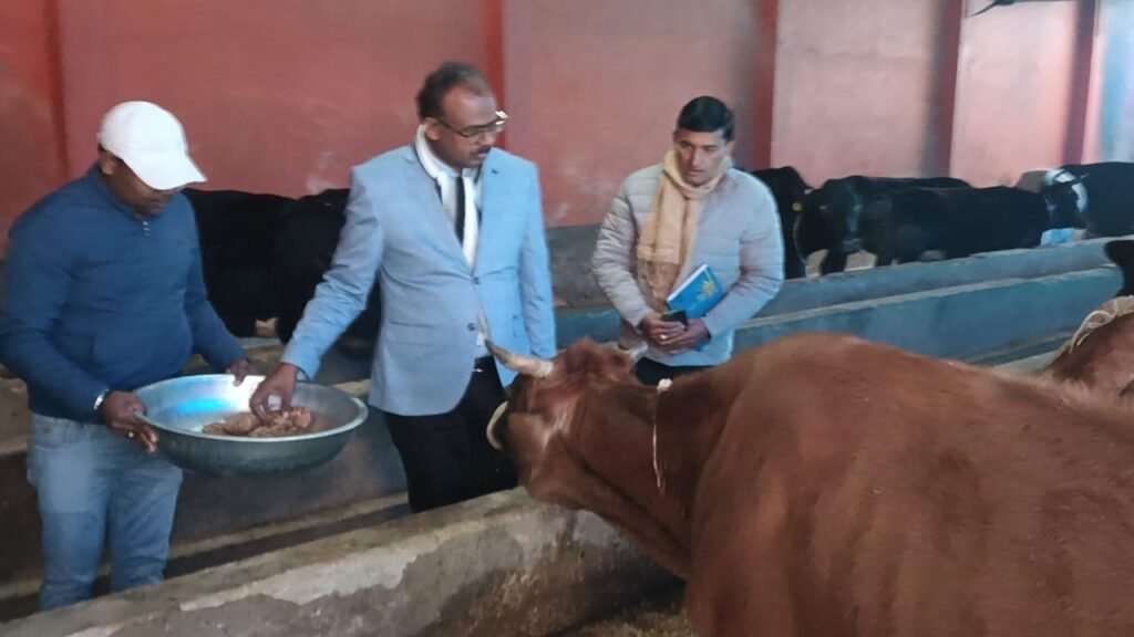 जिलाधिकारी ने गोवंश संरक्षण केंद्र कान्हा गौशाला का किया निरीक्षण, आवश्यक दिया दिशा निर्देश