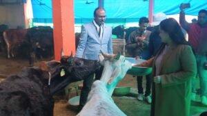 जिलाधिकारी ने गोवंश संरक्षण केंद्र कान्हा गौशाला का किया निरीक्षण, आवश्यक दिया दिशा निर्देश