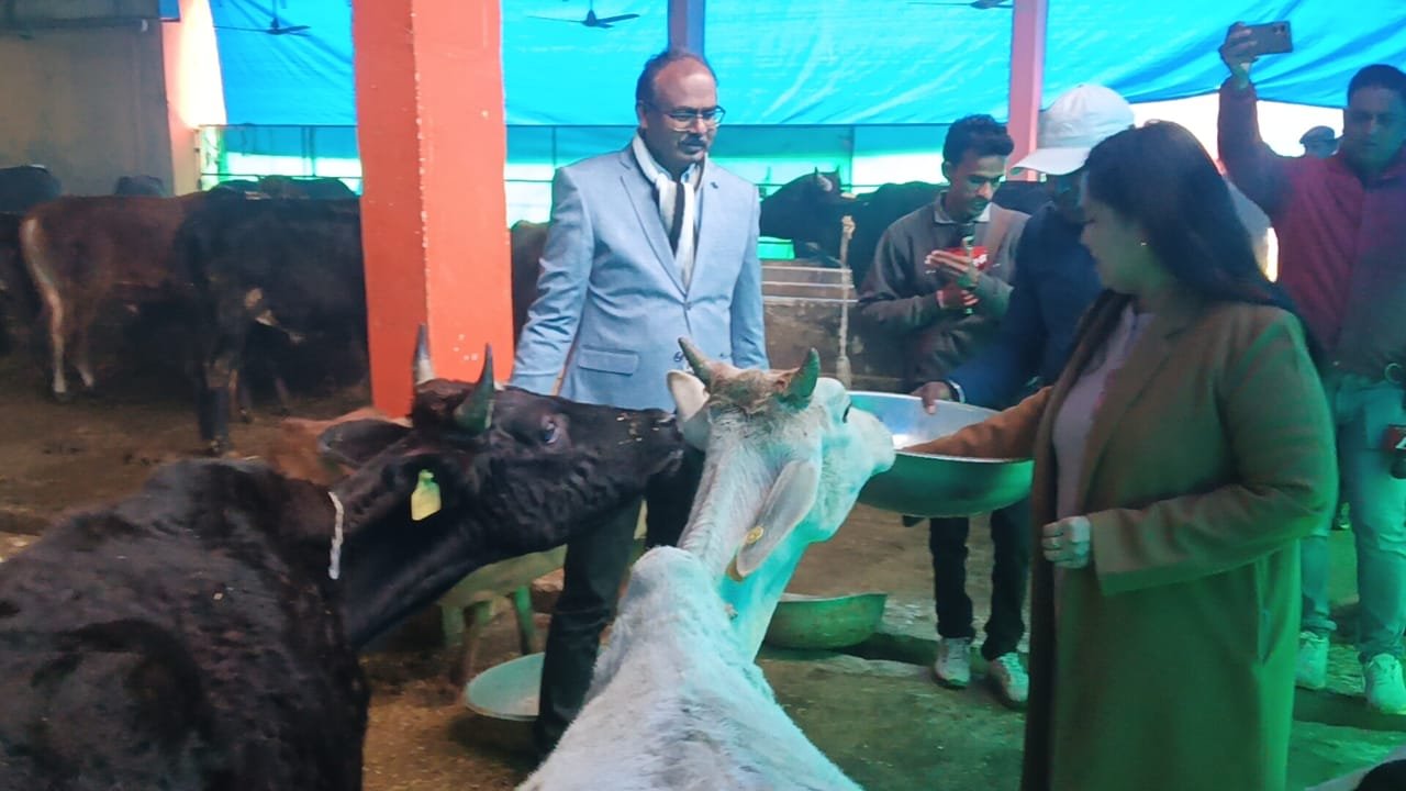 जिलाधिकारी ने गोवंश संरक्षण केंद्र कान्हा गौशाला का किया निरीक्षण, आवश्यक दिया दिशा निर्देश