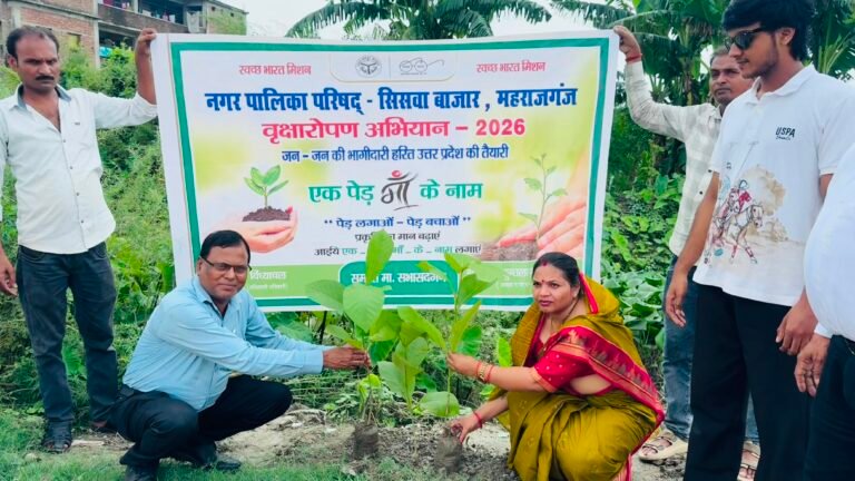 सिसवा नगर पालिका ने चलाया वृहद वृक्षारोपण अभियान, 12,051 पौधे लगाने का अभियान शुरू