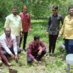 पत्रकारों ने पौधारोपण कर समाज को पर्यावरण संरक्षण का दिया संदेश