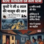 आवारा कुत्तों का आतंक, घर के बाहर खेल रही 6 साल की बच्ची को मार डाला